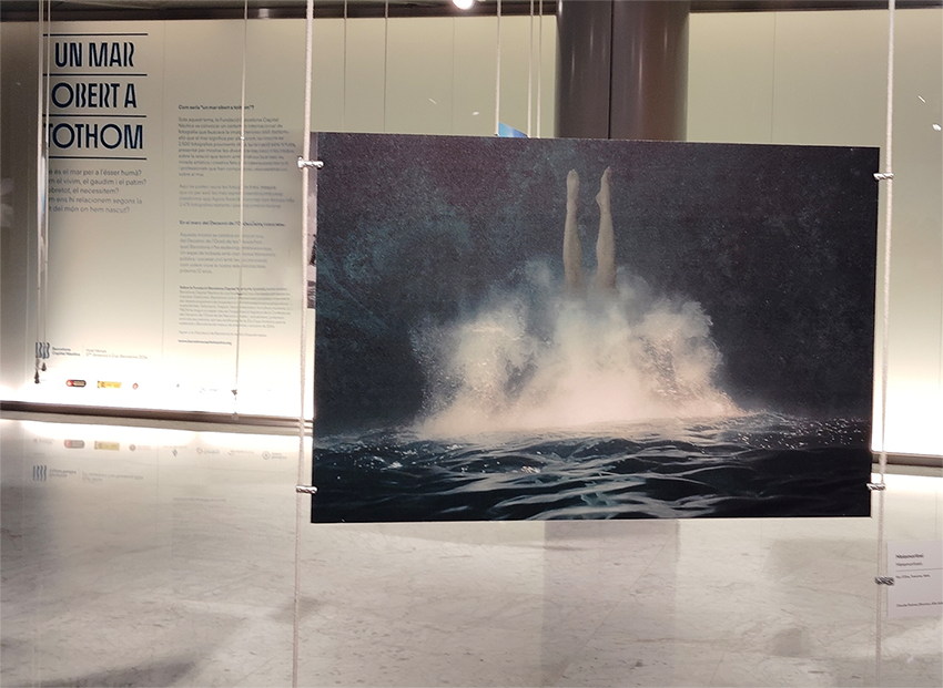 Barcellona: Ausstellung Unterwasserfoto 'Metamorphose' als Teil der UNESCO Ocean Decade Conference 2024